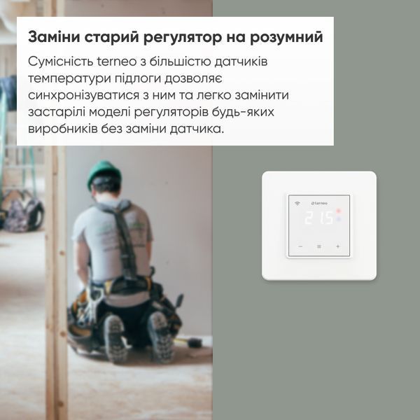 Terneo SX терморегулятор Smart Wi-FI 4820120221200 фото